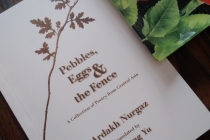 Ardakh Nurgaz. Жеміс ағаштың түбінде - Beneath the Fruit Tree