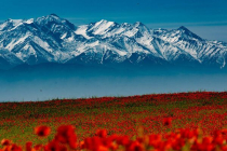 Ardakh Nurgaz. My “Spinoza”